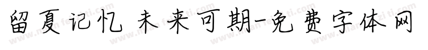 留夏记忆 未来可期字体转换